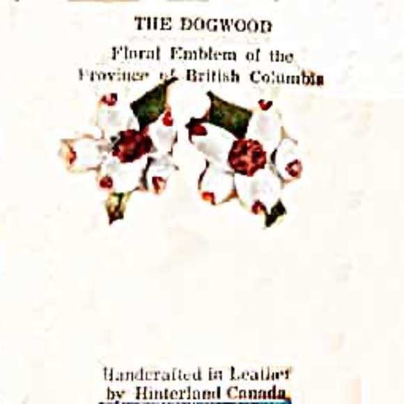 EARRINGS, VINTAGE LEATHER DOGWOOD FLOWER HAND MADE, HINTERLAND CANADA, 1962, - Picture 1 of 2